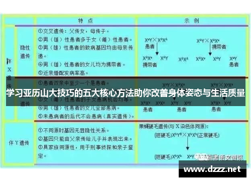 学习亚历山大技巧的五大核心方法助你改善身体姿态与生活质量 学习亚历山大技巧的五大核心方法助你改善身体姿态与生活质量